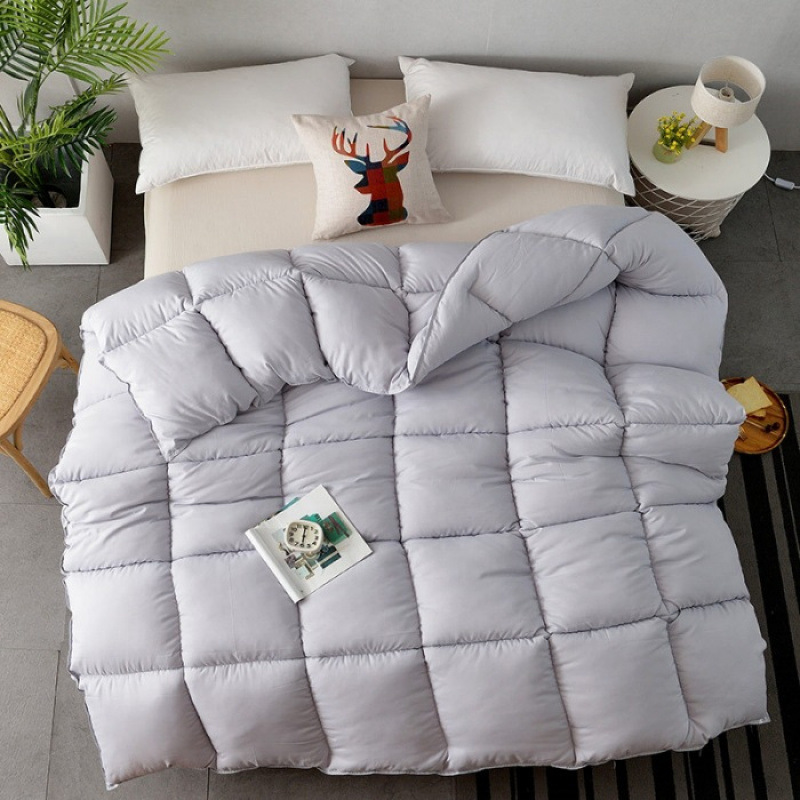 Cross-Border Exclusive Feather Duvet Core for Home Use, Wholesale Autumn and Winter Thickened Warm Duvet, Factory Direct Supply Custom Duvet Core
