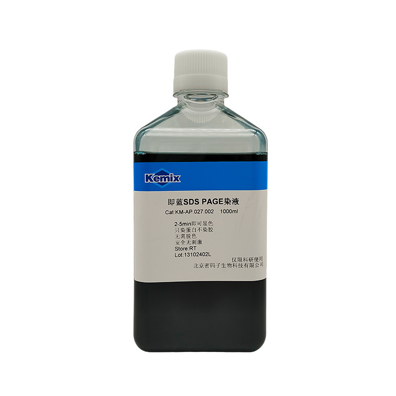 SDS PAGE fast protein staining solution WB experiment protein biochemical experiment factory supply