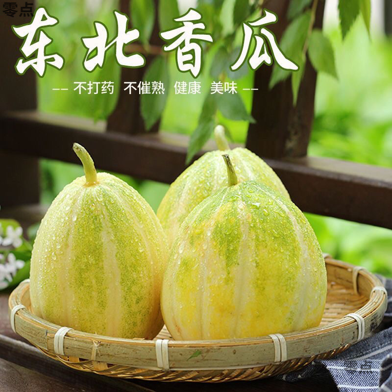 Fresh Seasonal Northeast Melon, Freshly Picked Sweet and Crisp Melon, White Sugar Canned Thin-Skinned Jingmi Cross-Border