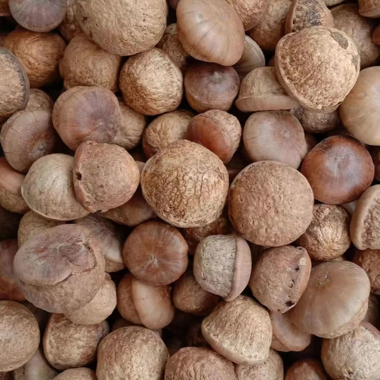 500g of Guangxi Specialty Dried Fruit for Men's Wine Infusion, Turtle Head Fruit Powder for Market Stalls and Delivery