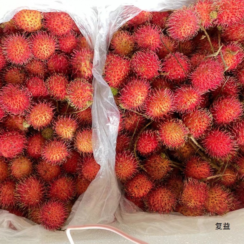 Rambutan Fresh Fruit, Lychee, Tropical Fresh Fruit, Guaranteed Compensation for Bad Fruits Picked Now