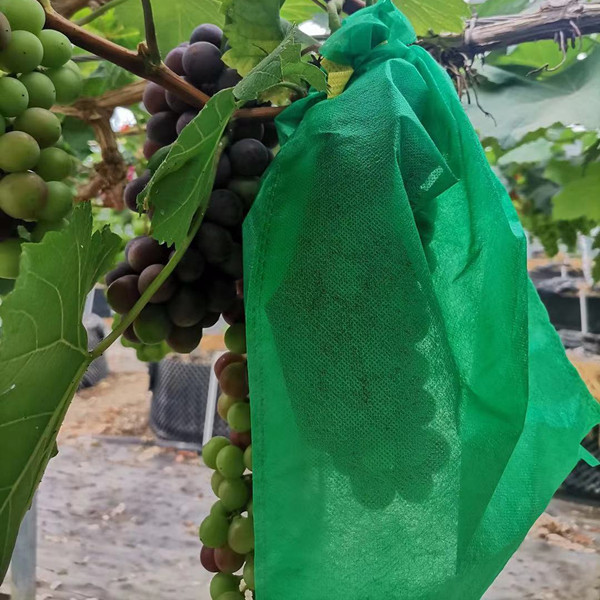 Non-Woven Fruit Bagging Tree Fruit Protection Bag Against Insects, Scratches and Dust for Citrus, Pomelo and Grape