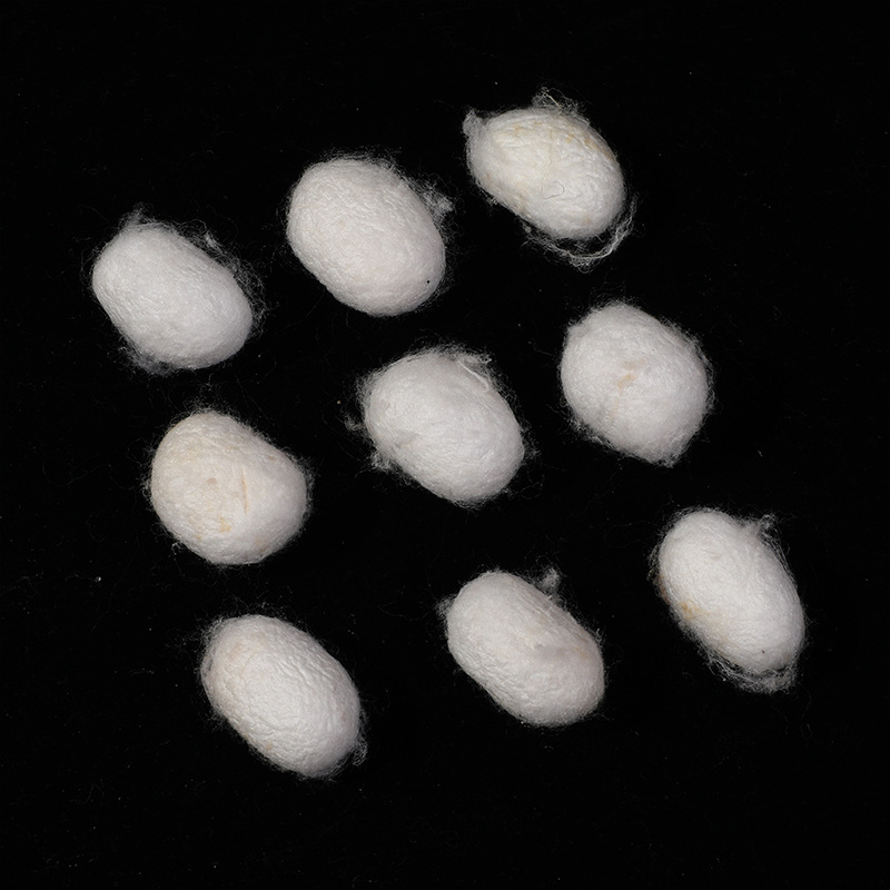 Farmhouse Natural Double Palace Mulberry Silk Cocoon Drying Can Be Spun into Silk Handmade Silk Bag Silk Quilt Raw Material 1 Catties 500 Grams