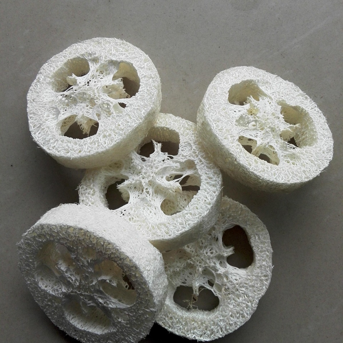 Таблетки из люффы