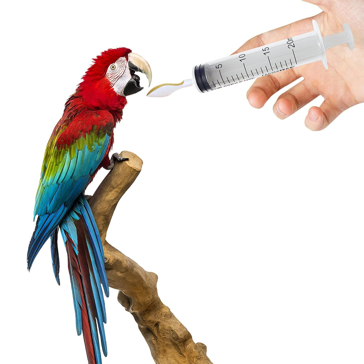 Cross-border parrot feeding artifact special feeding spoon tool syringe baby bird parrot milk powder needle tube