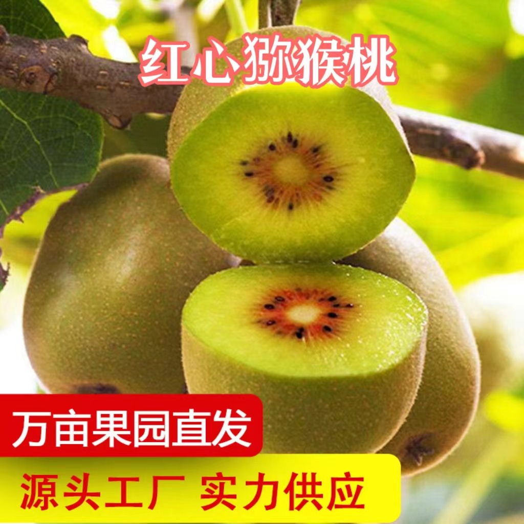 Прямо с доставкой из Сычуани, красносердечный и желтосердечный киви, свежий фрукт, сезонный киви, дропшиппинг