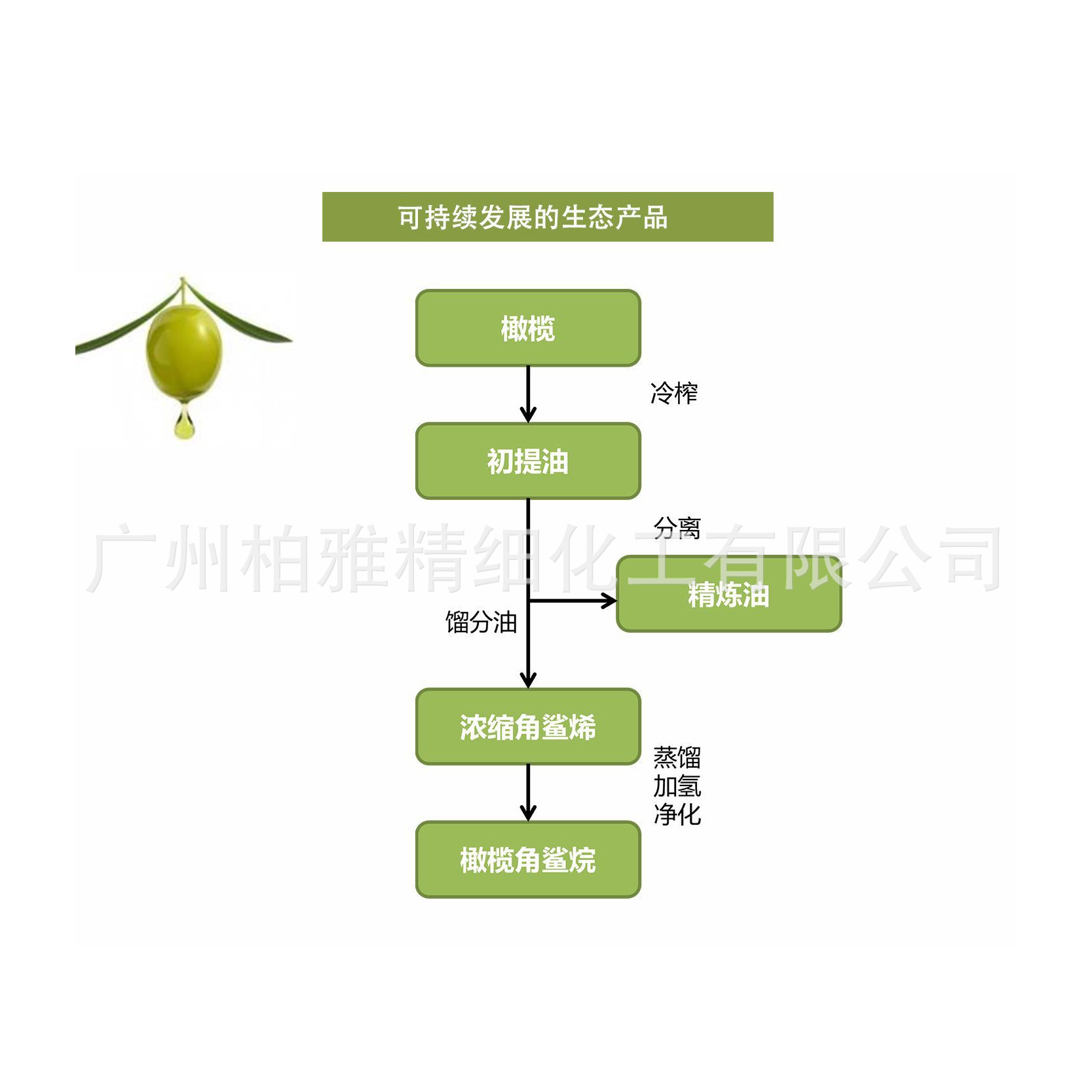 French Xianting Green Olive Squalane Olive Source Pure Plant Squalane Moisturizing and Soothing Olive 100g or More