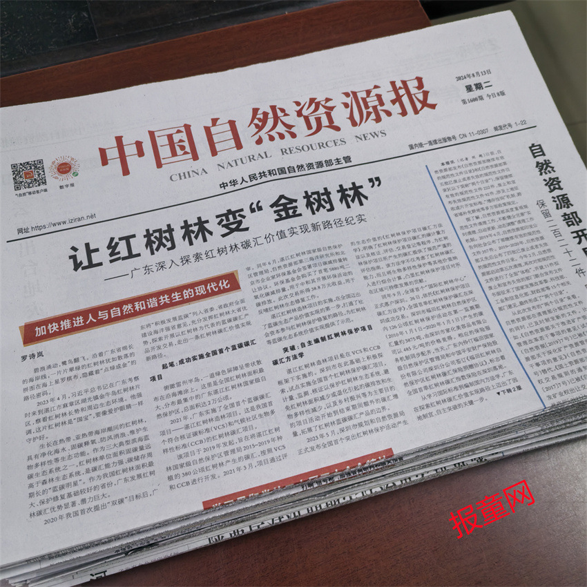 Original Old Newspapers from China Natural Resources Newspaper Can Be Dated and Used as Commemorative Items