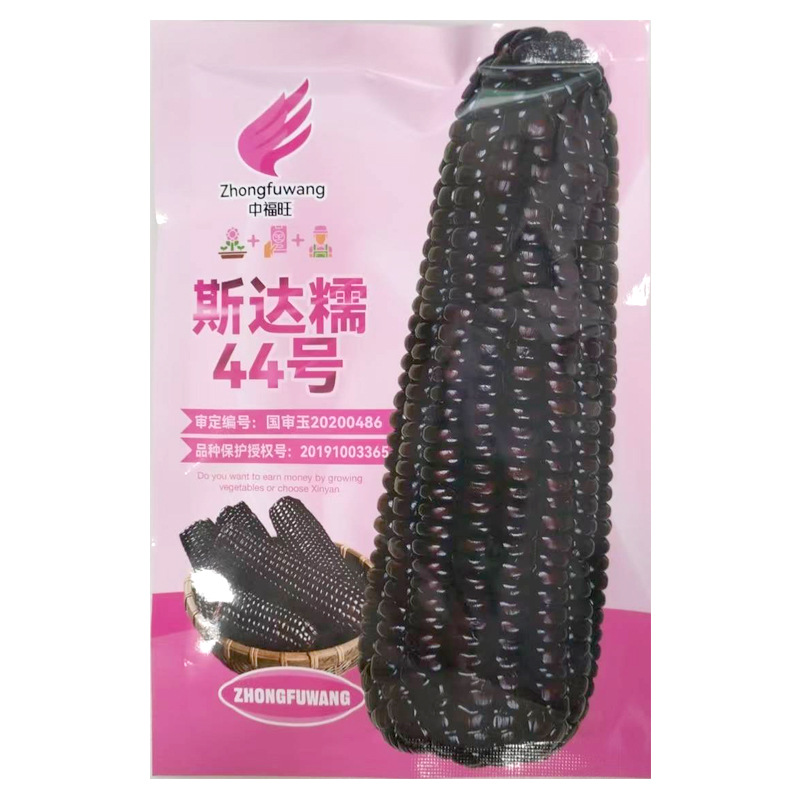 Nationally Approved Black Corn Star Nuo No. 44 Seed Corn Contains Rich Anthocyanin Nutrition and Spring & Fall High-Yielding Corn Seeds