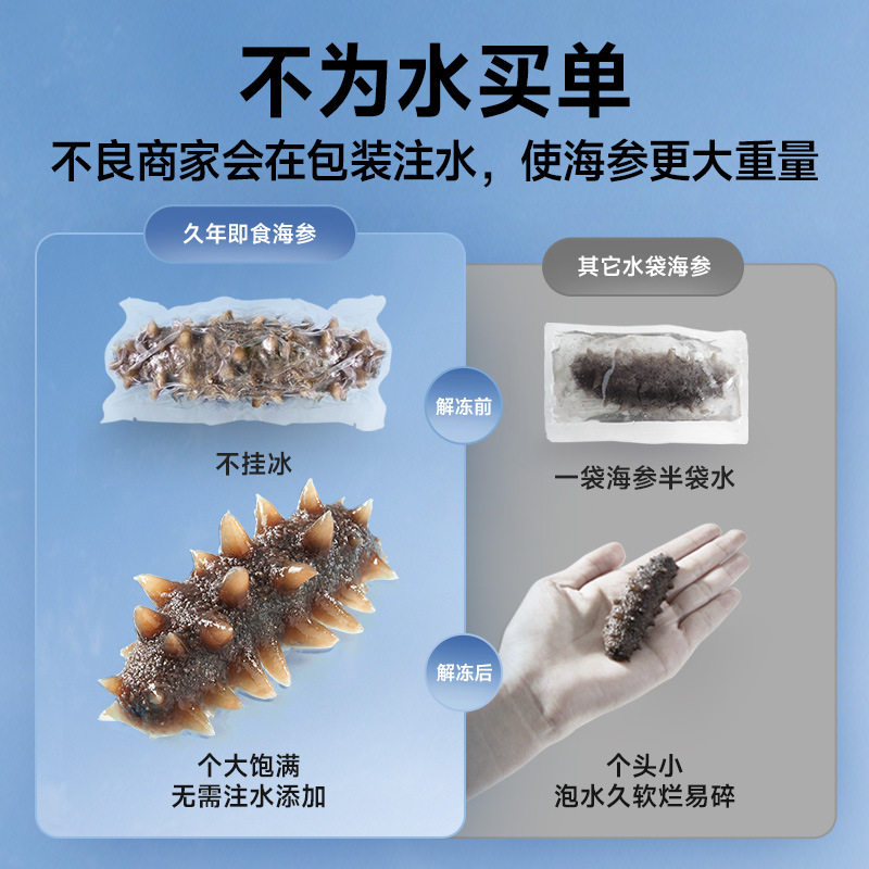 【4】Jiannian Dalian Ready-To-Eat Sea Cucumber, Fresh Wild Liaoshan Sea Cucumber, Gift Box for Elders, 7 Years