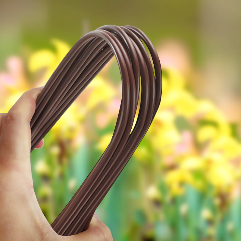 Flower Shape Wire Iron Bar Money Tree Phalaenopsis Climbing Vine Flower Bracket Plant Fixed Support Rod Vine Arch Shape