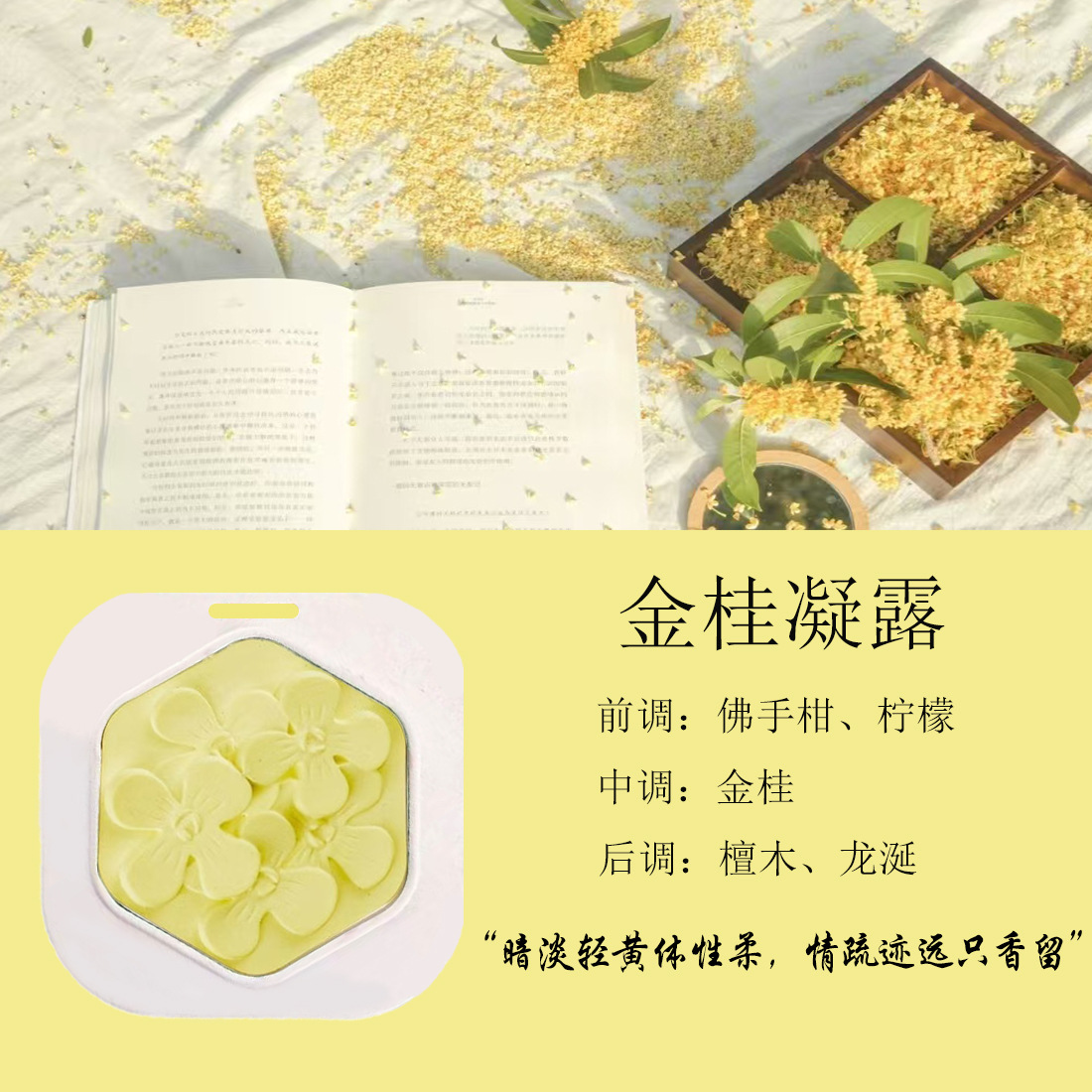 Car Air Freshener Gypsum Relief Pendant Diffuser Stone Ornament Air Freshener Wardrobe Fragrance Hanging Diffuser Long-Lasting