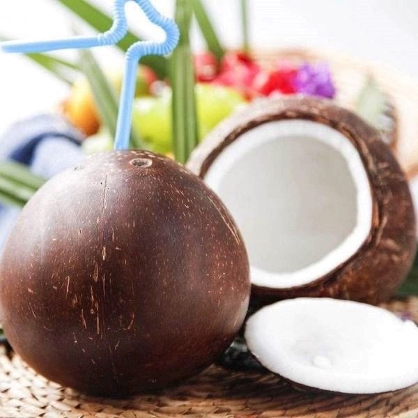 Hainan Coconut King Old Coconut Wholesale Coconut Chicken Coconut Fruit Coconut Meat Juice Soup