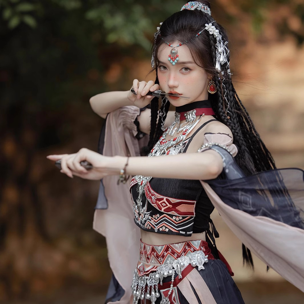 Ethnic Minority Costume Exoticism Hanfu Black Hani Printed Embroidery Silver Jewelry Full Studio Photo Dress