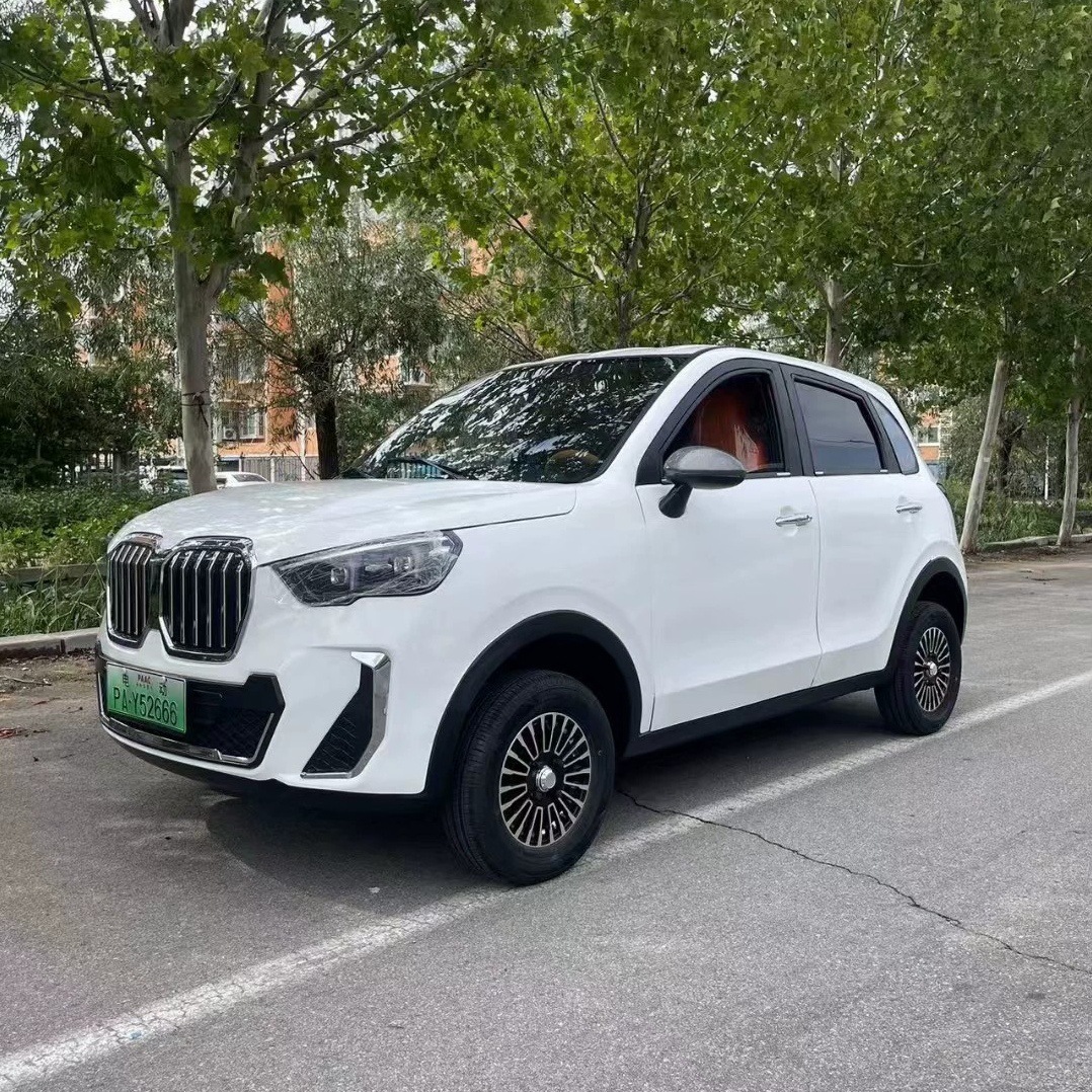 New Electric Vehicle, Four-Wheel Scooter, Classy Low-Speed Electric Sedan, Oil-Electric Dual-Purpose New Energy Vehicle, New Shape