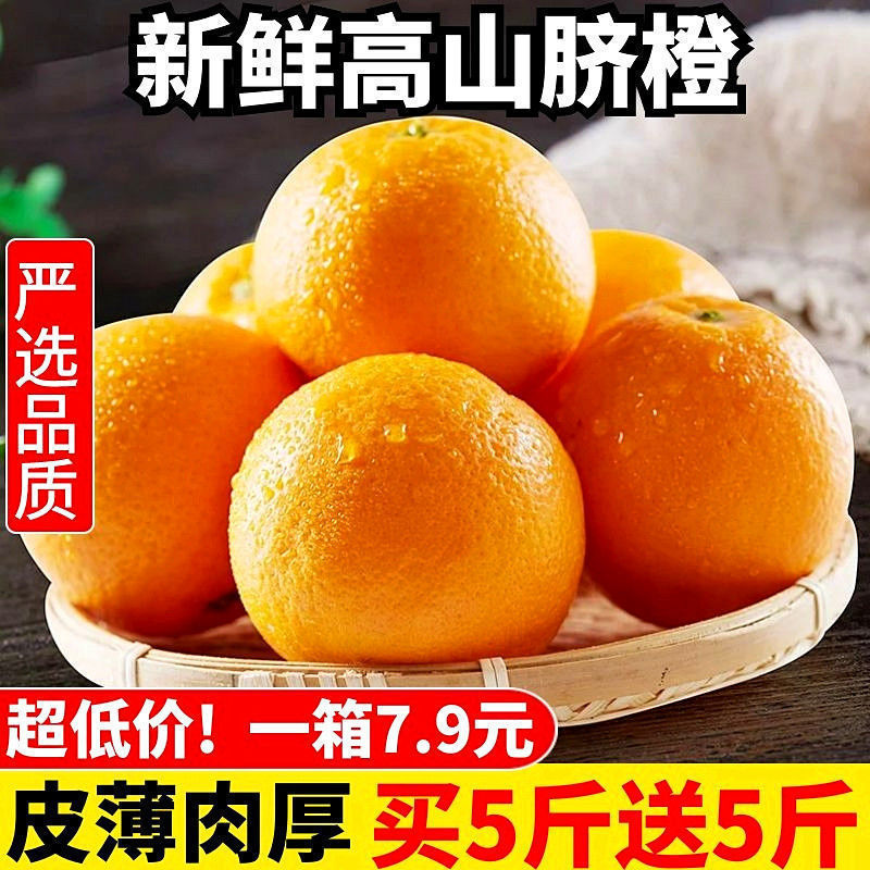 Authentic Zigui Alpine Summer Orange Navel Orange Seasonal Orange Fresh Fruit Seasonal Sweet and Sour Orange Non-Gannan Rock Sugar