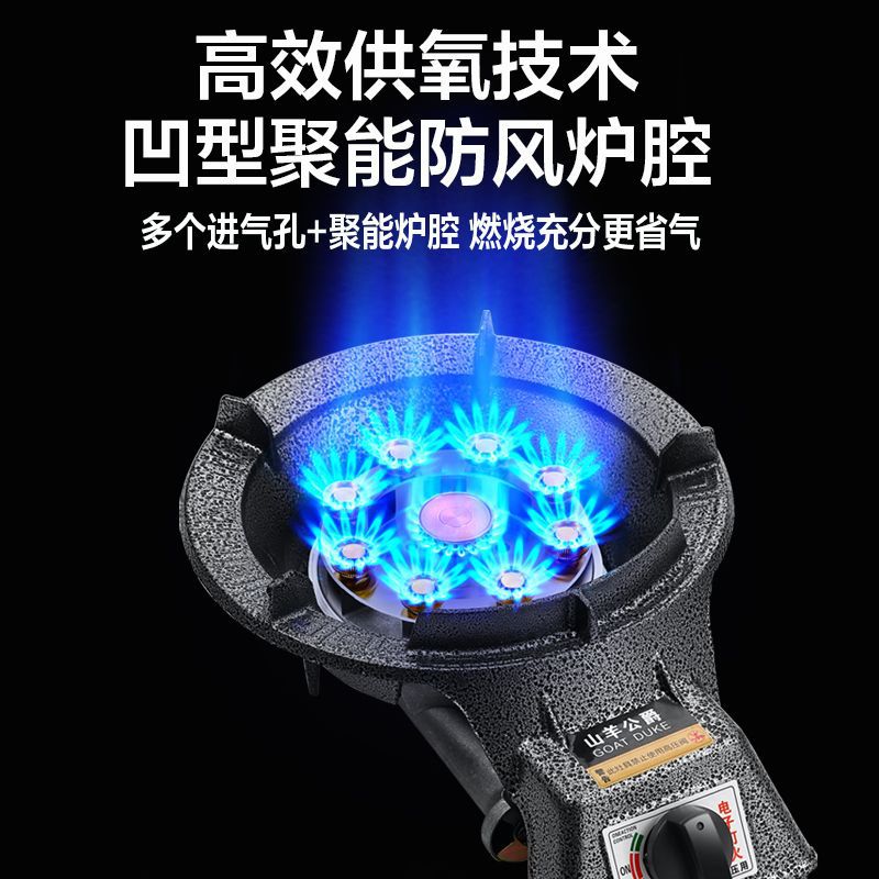 Gas Stove Single Stove Household Energy-Saving Flameout Protection Liquefied Gas Natural Gas Stove Desktop Single Burner Commercial Fierce Stove