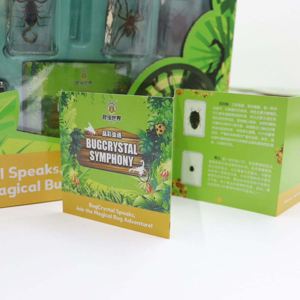 Real Insect Specimen Children's Educational Toy Set Collectible Desktop Ornament Birthday Gift Box Holiday Gift
