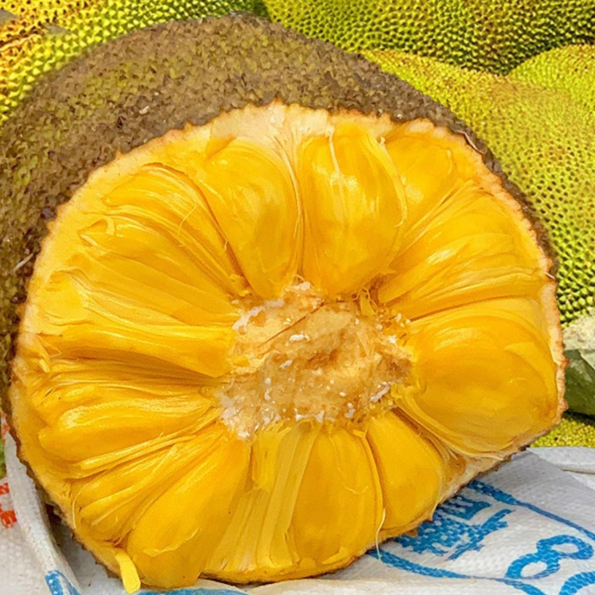 Hainan Sanya Jackfruit Fresh Fruit Jackfruit Seasonal Whole 10-20kg Boxes Free Shipping Red Meat