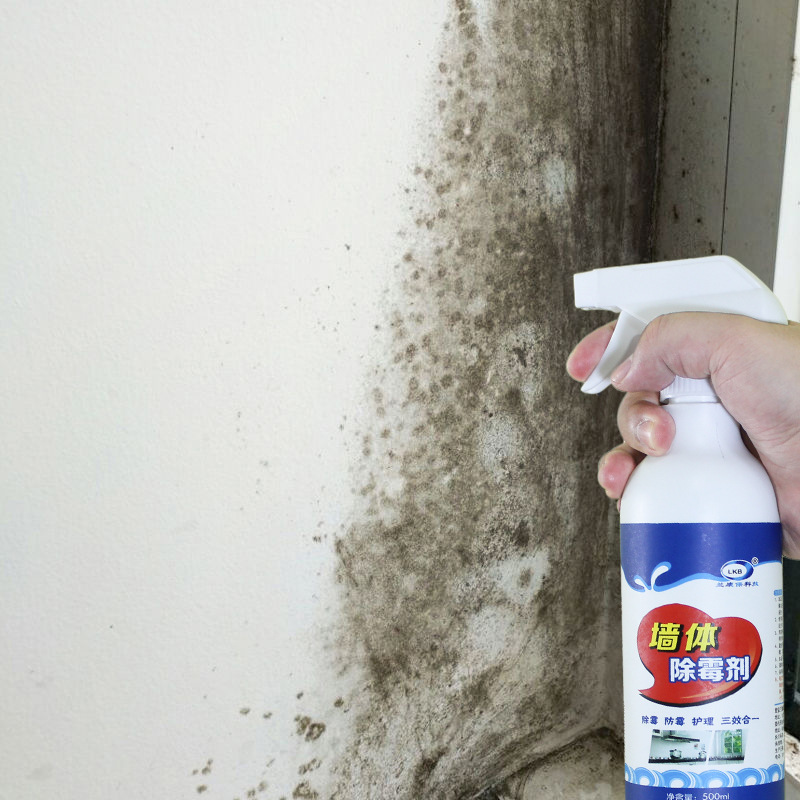 Lan Kangbao wall mold remover wall mold mold mold mold mold kitchen mold spray cleaner factory direct wholesale
