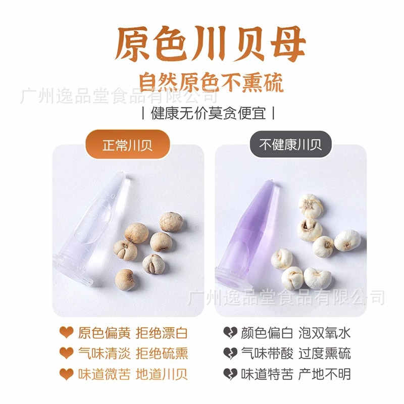 Natural Chinese Herbal Medicine Sichuan Fritillaria, Free Shipping, Sichuan Fritillaria Powder, Songbei Rice, Licorice, Dried Tangerine Peel, Sulfur-Free Wholesale