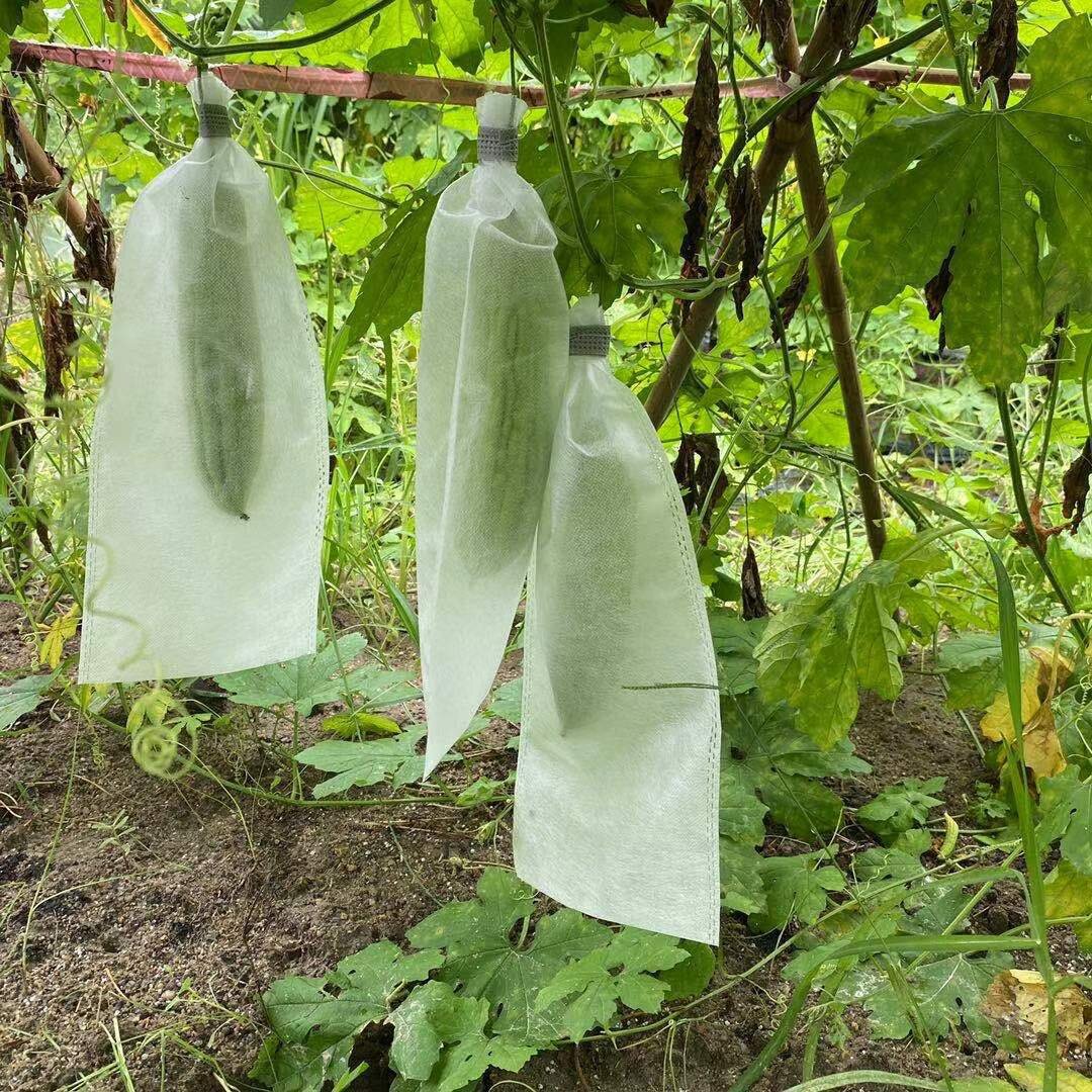 Non-Woven Bitter Melon Bagging Loofah Bag Breathable Semi-Transparent Universal Fruit Bagging Integrated Insect-Proof Bag
