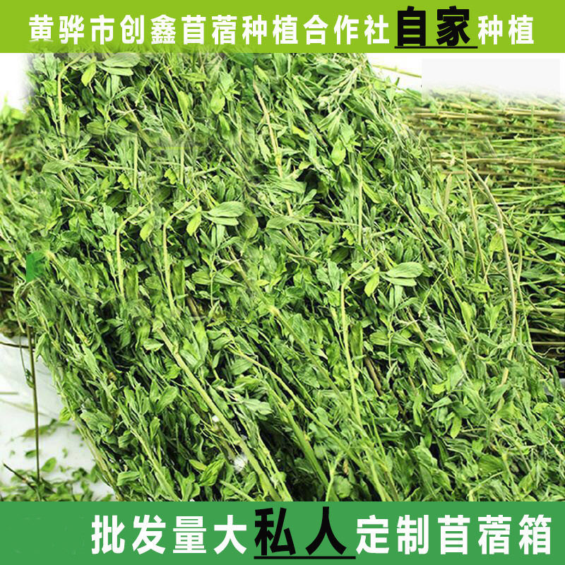 2025 Dried Alfalfa Chinchilla Guinea Pig Rabbit Pet Food Feed 1Kg/Alfalfa for Young Rabbits