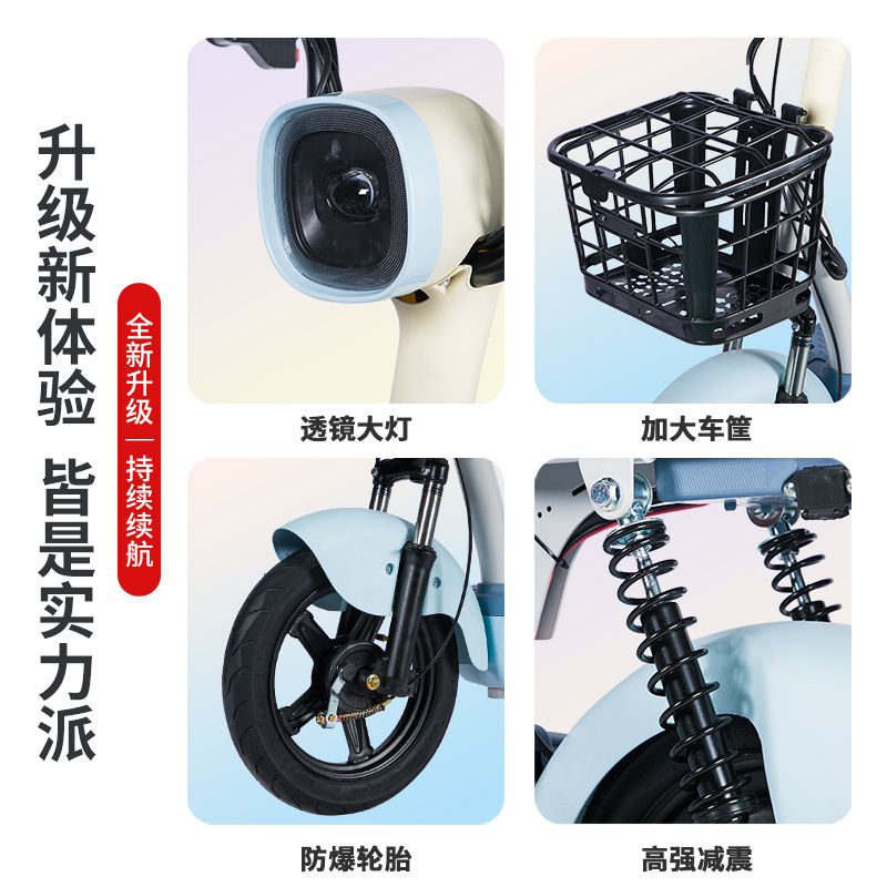 Cross-border direct supply to continue the star small Jinlong new national standard electric bicycle city commuter double walking power electric vehicle