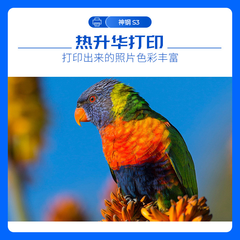 Original Japanese Kobelco S3 Printer, Photo Studio Graphic Advertising Self-Service Id Photo Sublimation Printer