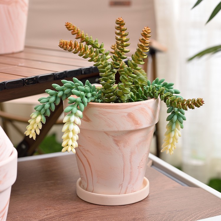 Macchiato White Clay Red Pottery Flower Pot Gradient Thick Potted Roman Breathable Plain-Fired Large Diameter Scandinavian Simple