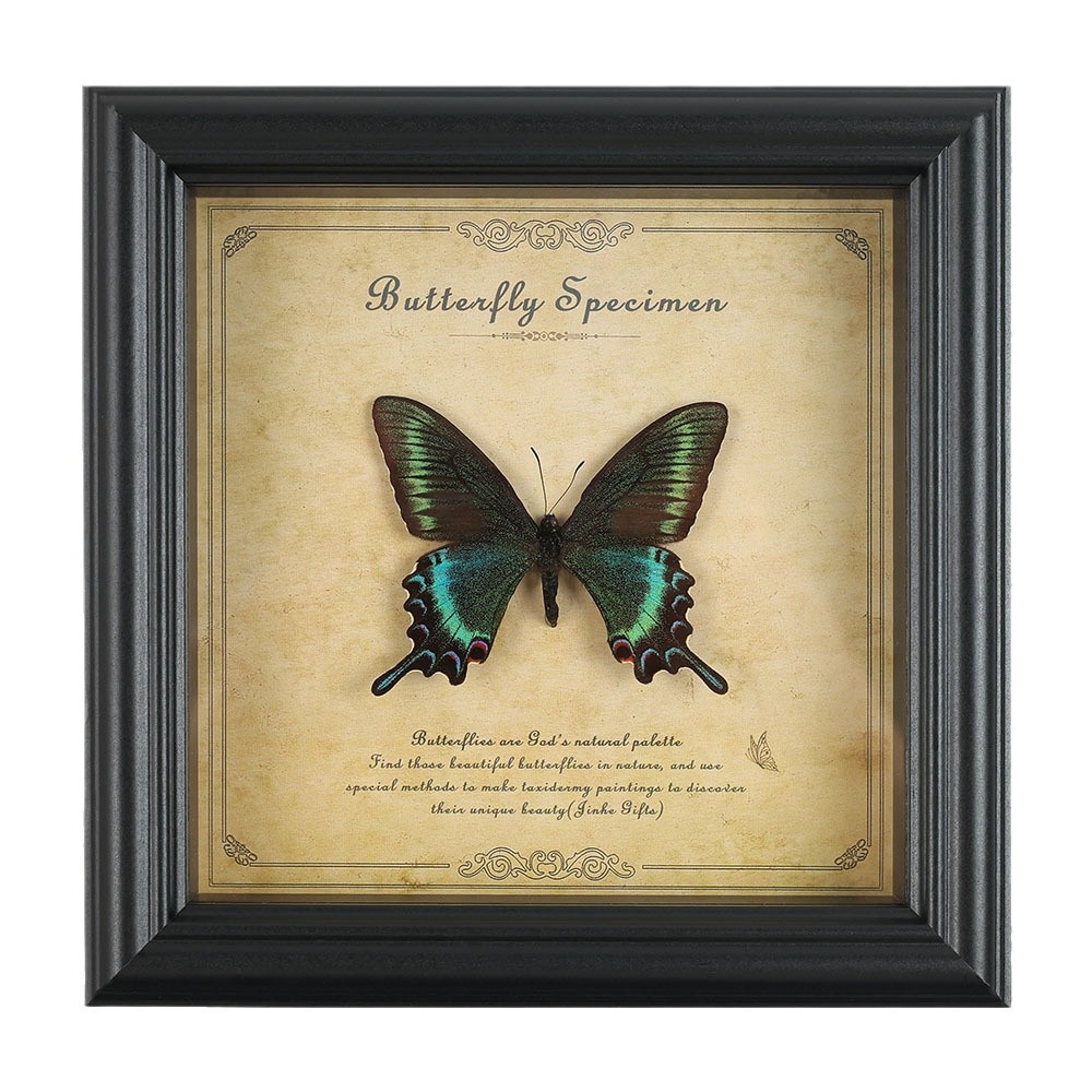 True Butterfly Specimen Photo Frame High-end Wooden Decorative Painting Home Decoration European Style Retro Photo Frame Table Birthday Gift