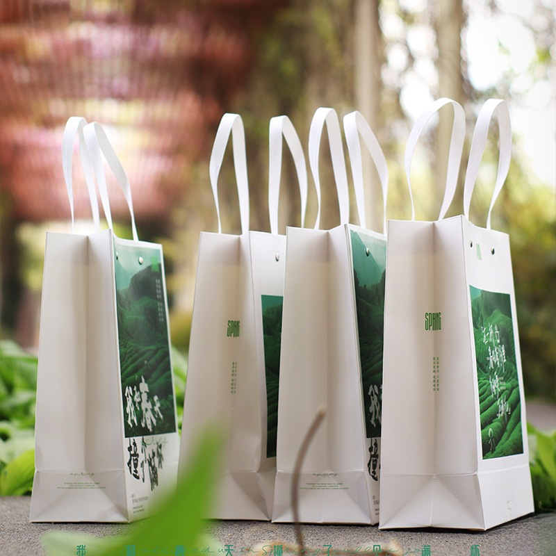 Spring Tea New Handbag Green Tea New Tea Packaging Bag Mingqian Longjing Biluochun Huangshan Maofeng Anji White Tea Gift