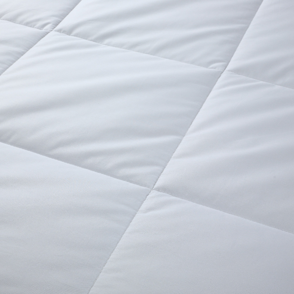 Five-star hotel homestay quilt core cotton anti-feather cloth feather velvet quilt thickened feather velvet four seasons single double quilt