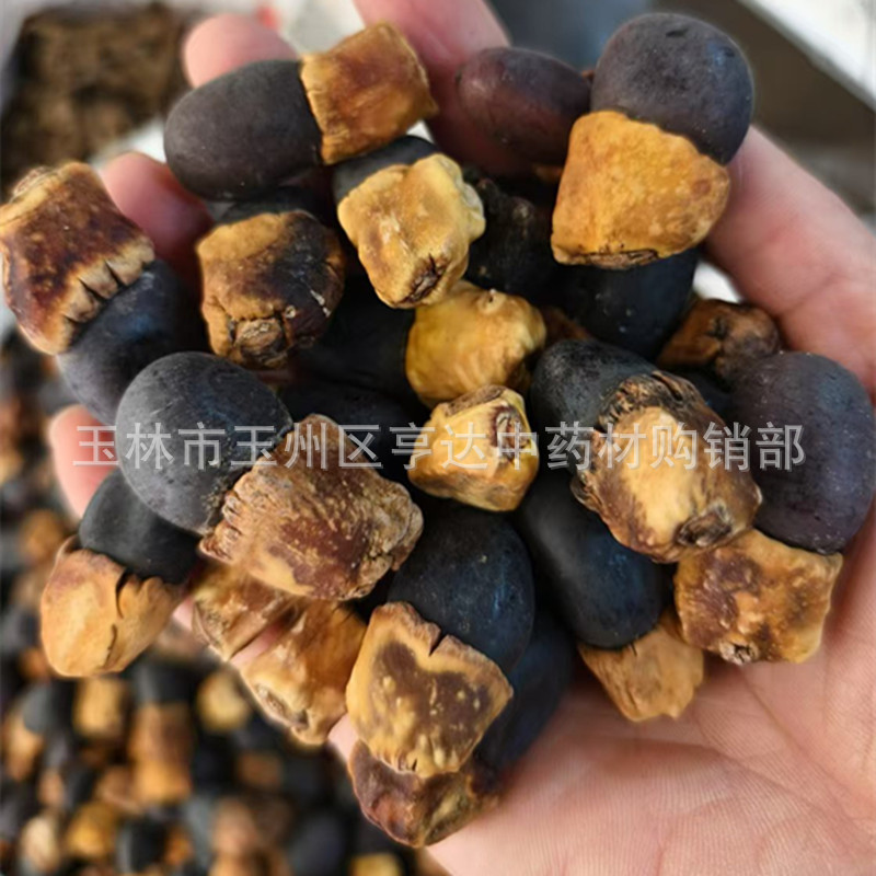 Ма Яцзы, бодхи, бирманский баклажан, фрукт Инь Янцзы, оптовая продажа