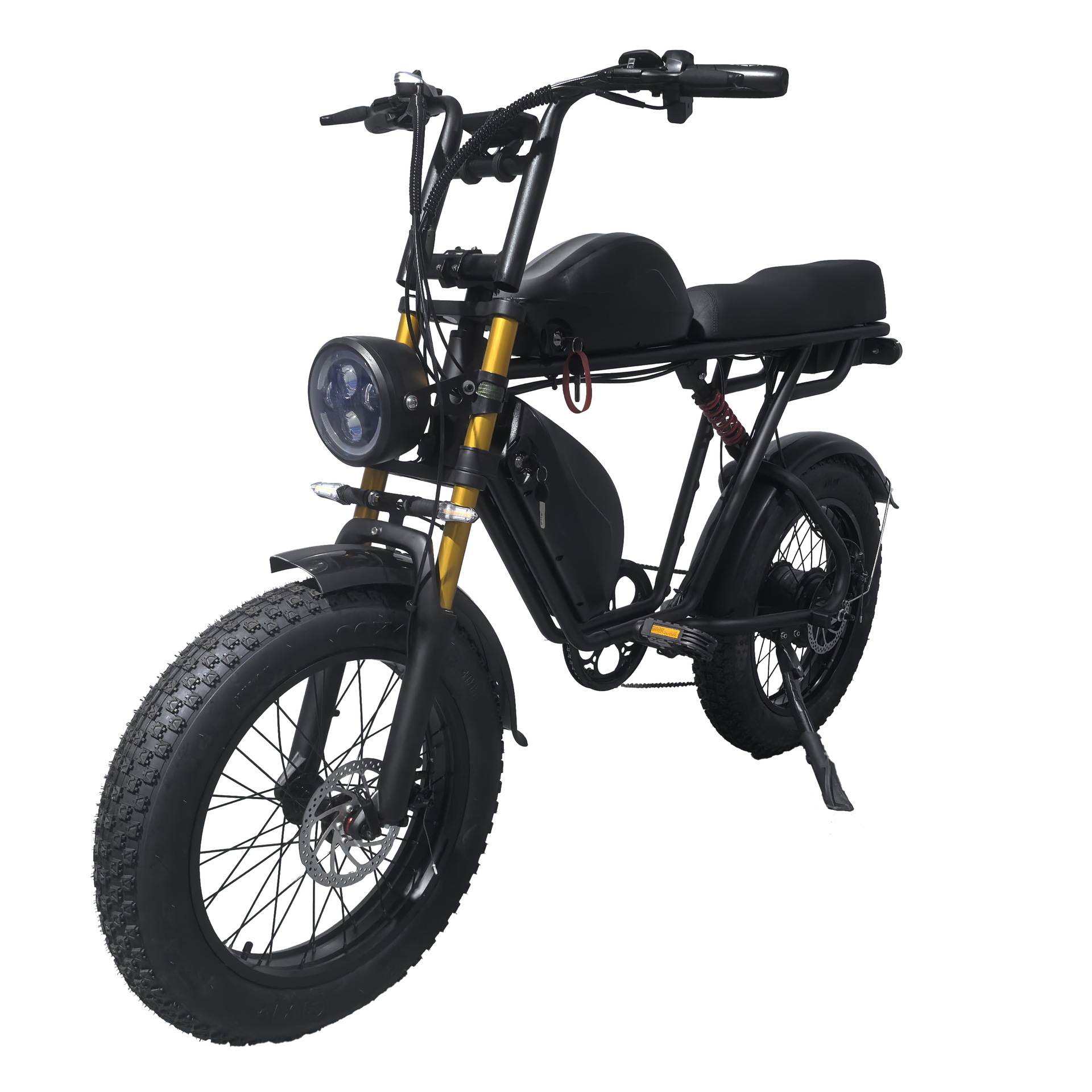 Manufacturer Batch 20inch Electric Bicycles, Snowmobiles, Wide Tires, Dual Battery Electric Assist Electric Motorcycles