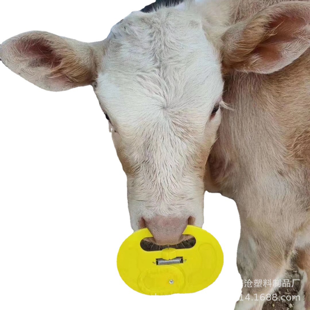 Reinforced cow nose stab spring calf weaning device weaning anti-topping device horn cover milk mask cow nose stab big milk pocket