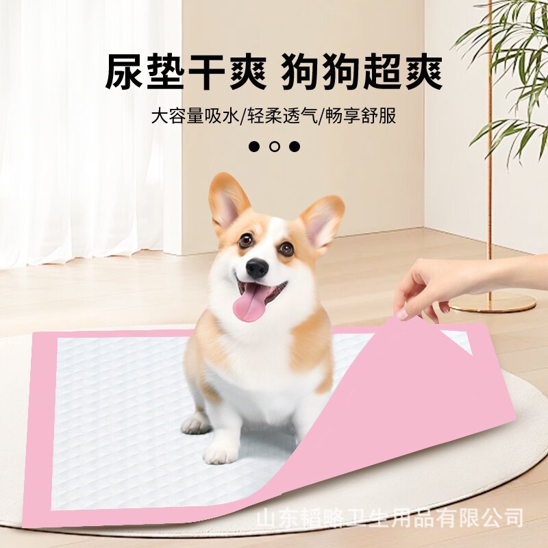 Pet Diaper Pad, Thickeneded Diaper Pad, Dog Diaper Pad, Pet Diaper Wholesale, Disposable Water-Absorbent and Leak-Proof Pink
