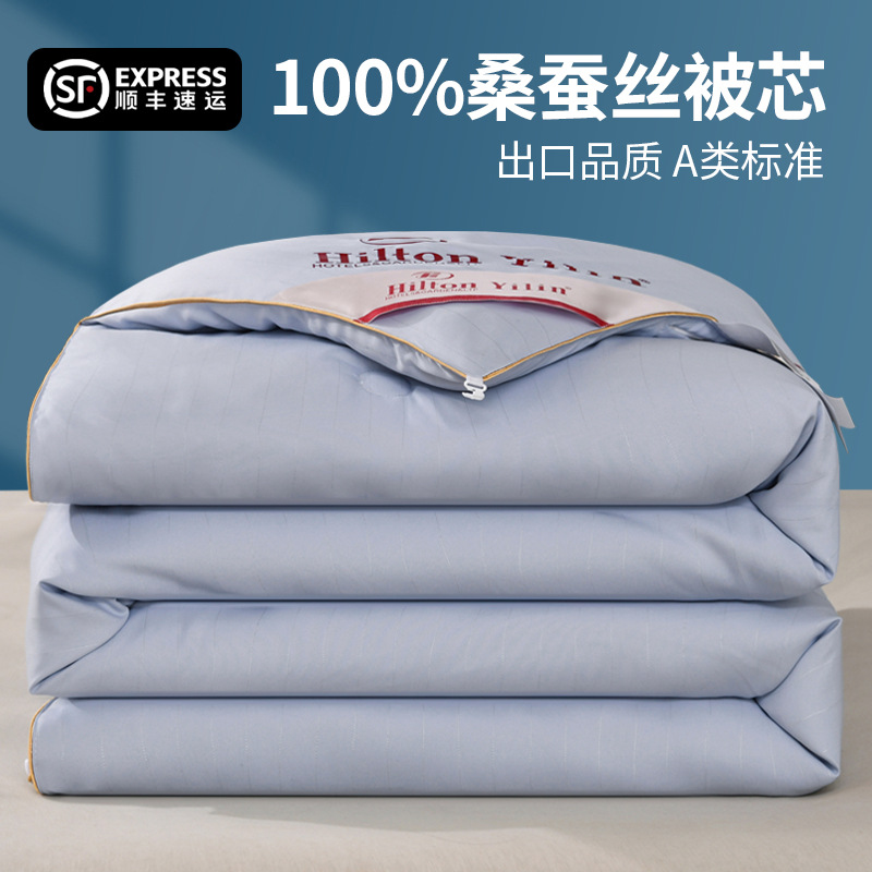 Pure Cotton Clearance Silk Quilt Mulberry Silk Quilt Spring & Fall Quilt Quilt Core Pure Cotton Air-Conditioned Summer Cool Quilt Thickeneded Winter Quilt