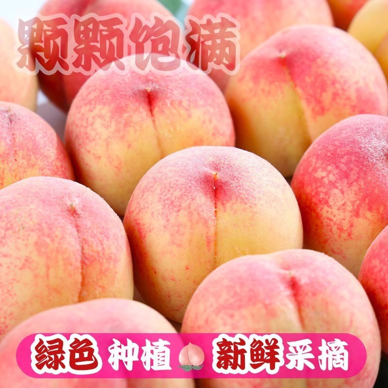 [Direct Delivery from the Orchard] Henan Fresh Peaches, Freshly Picked Crispy Sweet Peaches, Fresh Fruits, Extra Large Peaches, Whole Box