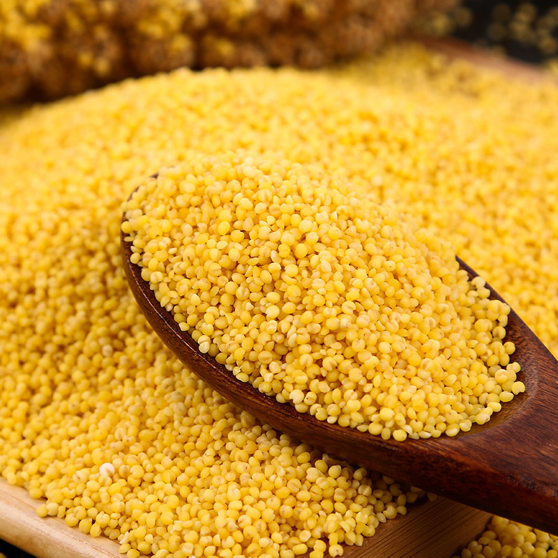 Organic Millet 750g Northeast Yellow Millet New Rice Porridge Source Factory Millet Grains and Grains Wholesale