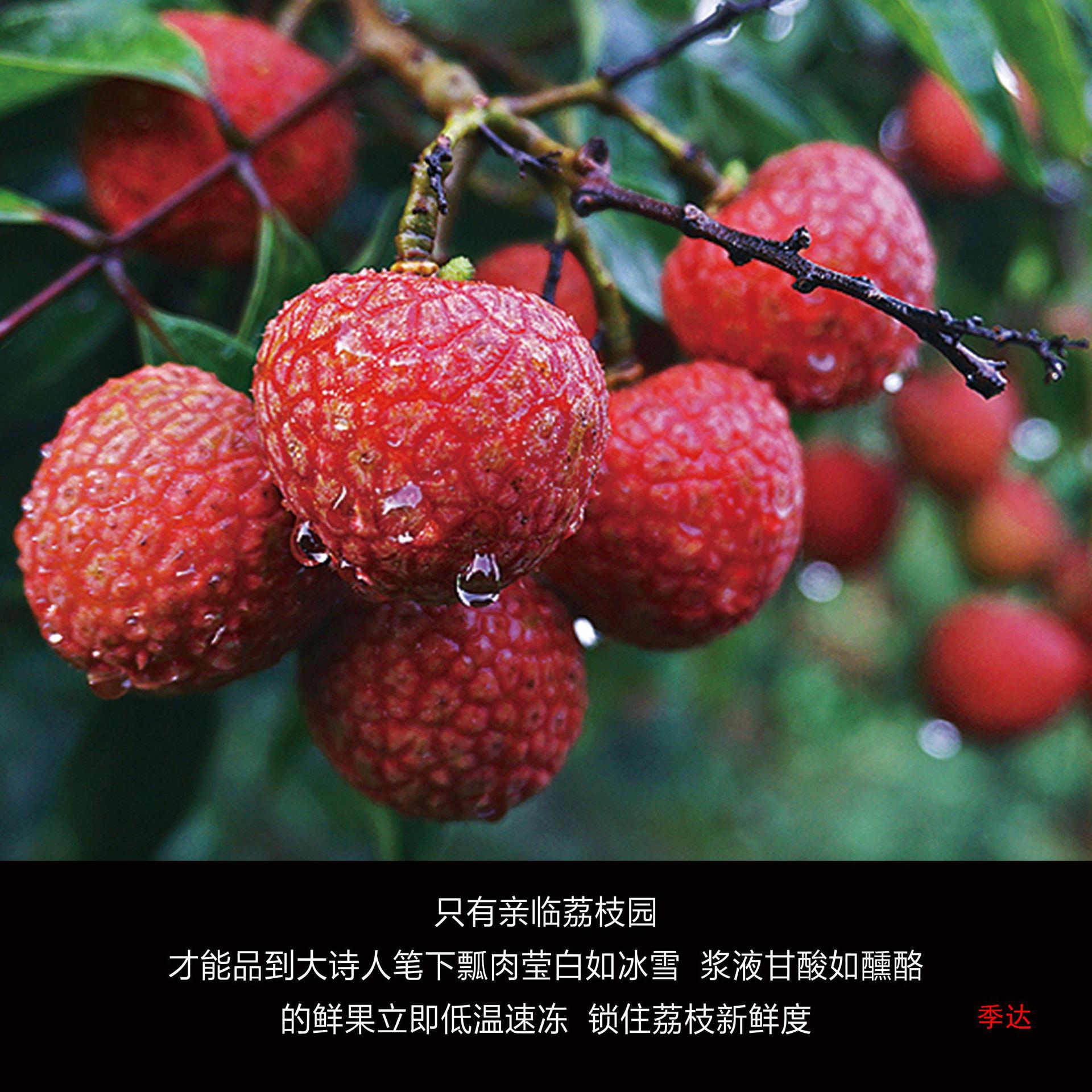 Jingdefu Ice Lychee 150g Fresh Sweet Hejiang Raw Material Pregnant Women Fruit Black Leaf Frozen Lychee