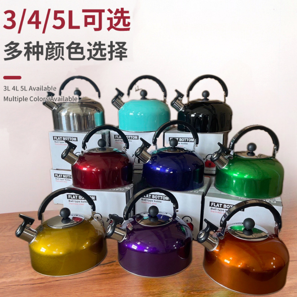 Свистящий нержавеющий чайник с плоским дном