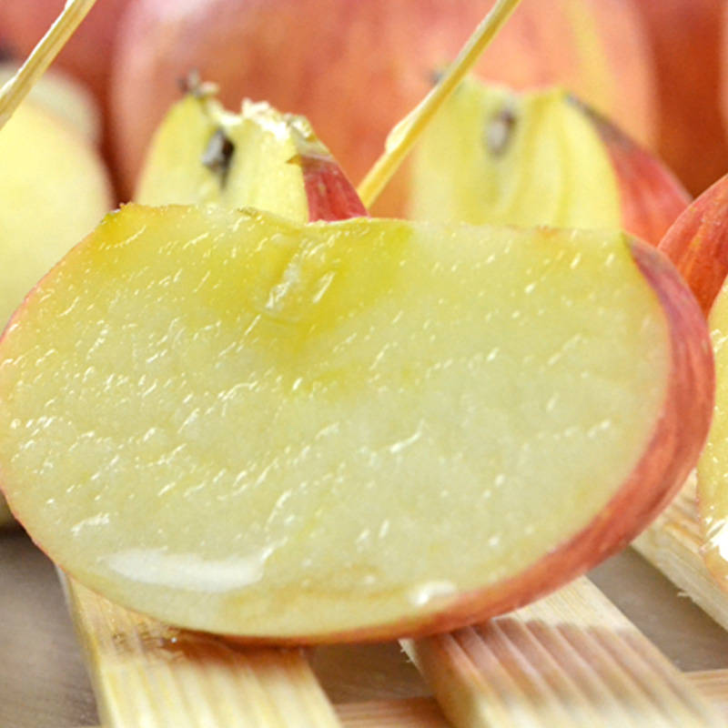 Shandong Yantai Red Fuji Apple Now Available Apple Red Fuji Dropshipping