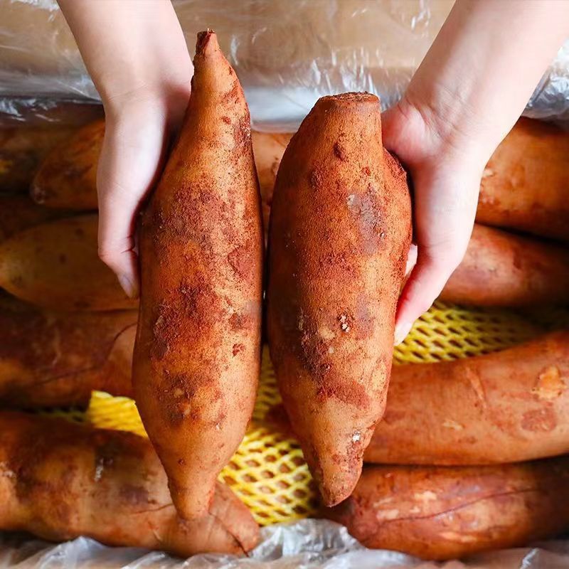 New Fruit of the Year Yunnan Tianshan Yellow Heart Snow Lotus Fruit Fresh Fruit Crispy Sweet and Juicy Free Shipping