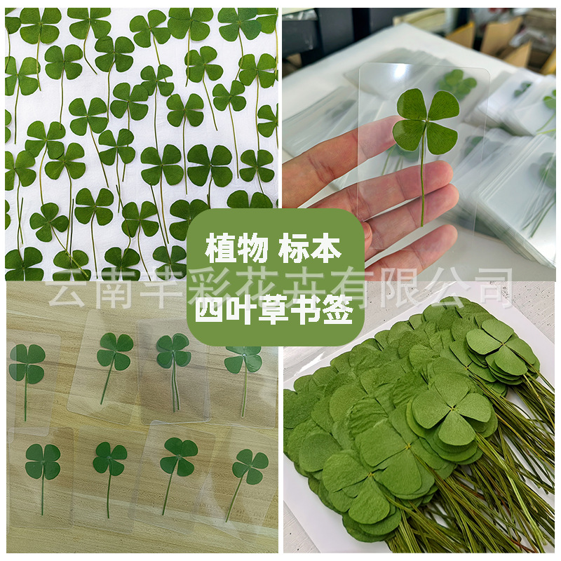 Закладка из пластика с высушенным цветком четырехлистного клевера, тисненная, для DIY, прозрачная, из настоящего растения