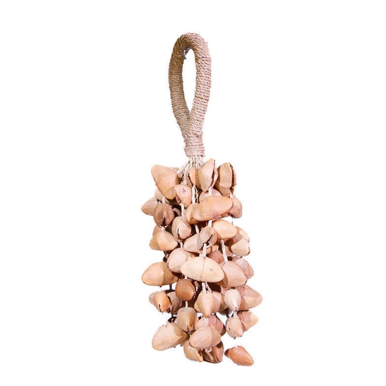 Van Wood Fruit & Deri terre [Fruit Shell Rattle] African Minority Musical Instrument Plant Fruit Bracelet