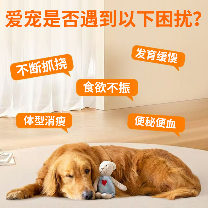 Aibel Sanmeng Quan Chongjing 100 Tablets for Pets, Universal Chicken Flavor for Dogs and Cats, Good Palatability, Plant Extract