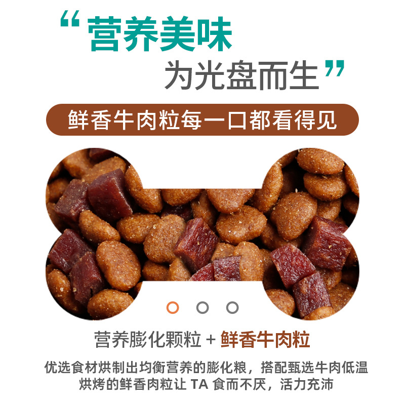 Dog Food Manufacturer Direct Delivery Aiton Universal One-Piece Drop Shipping Large Dog Small Dog Double Full Price Dog Food