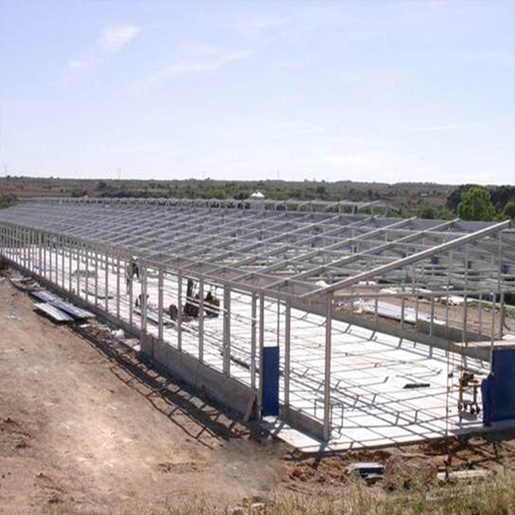 Steel Structure Chicken House Export Production Stable Frame Good Insulation Effect Fully Automatic Steel Structure Chicken House Farm