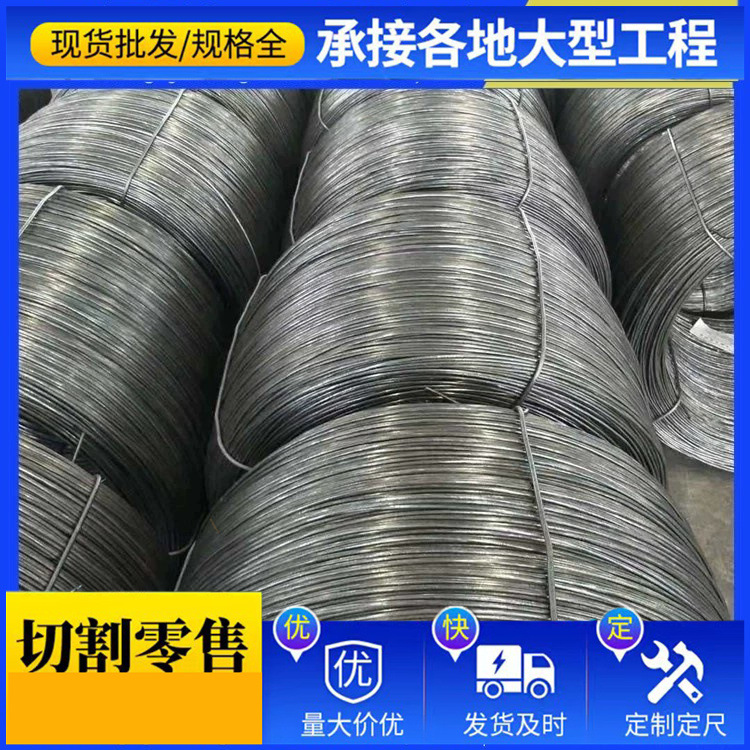 Spot General Carbon Q195 Wire Cold Drawing Cold Drawn Smooth Iron Wire/Threaded Wire Specifications Full Custom Length
